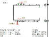 SAT HD0001-FD   