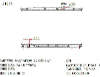 SAT HY0006-2.2D   