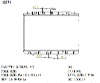 SAT NS0007-T31   