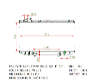 SAT TY0006-147   